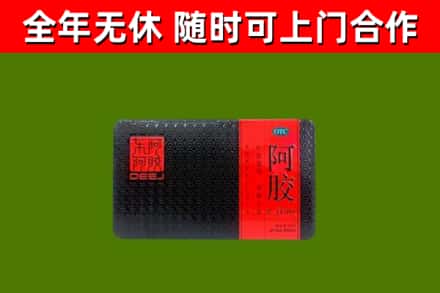 市北烟酒回收阿胶.jpg